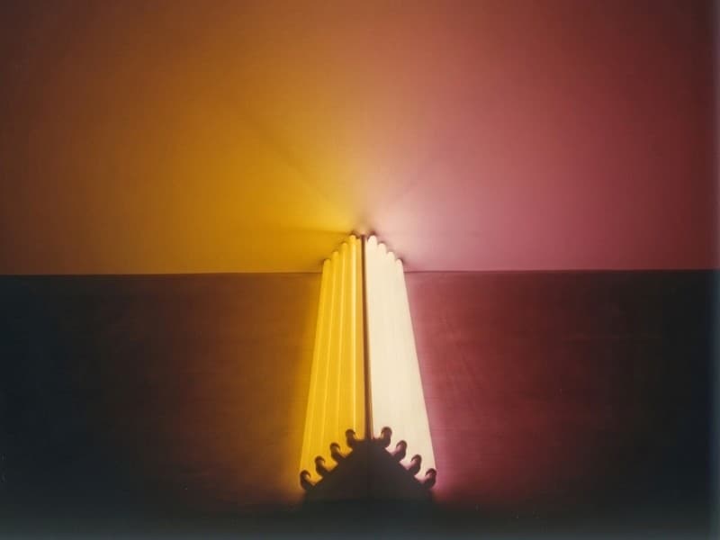 Dan Flavin
