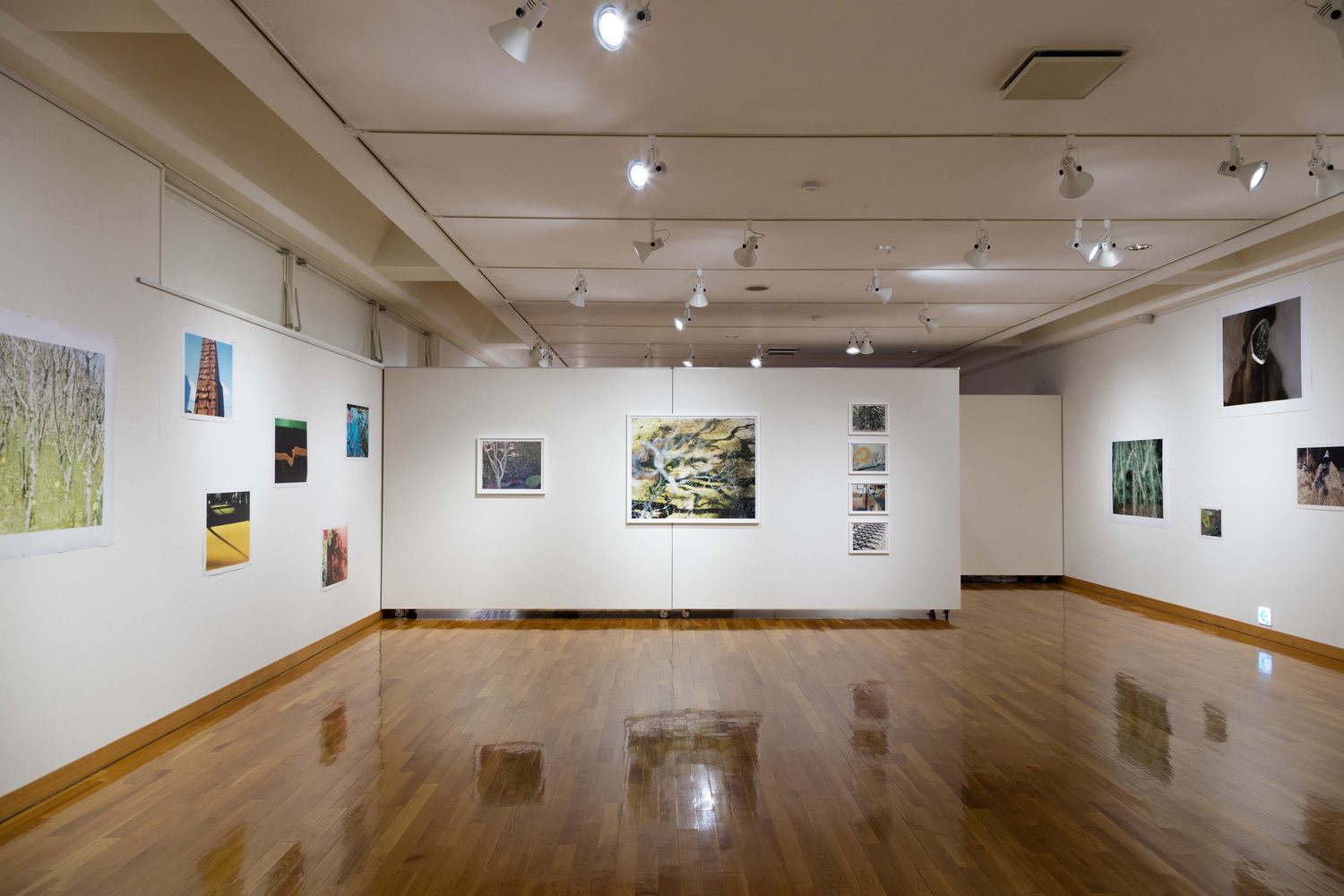 写真の町東川賞受賞作家展 2016年